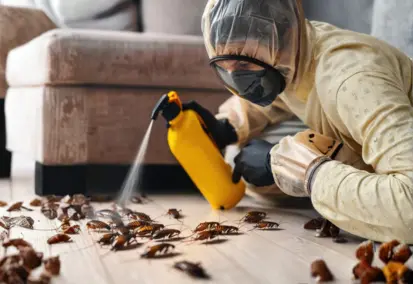 Best Termite control services mayiladuthurai