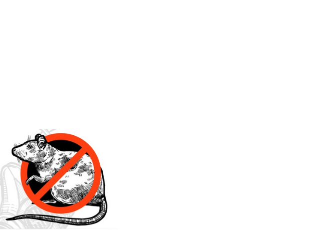 Top 10 Residential pest control services in Kumbakonam