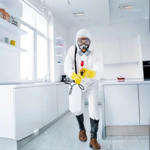 Best Pest control service providers in mayiladuthurai