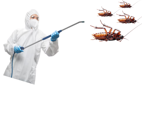 Top 10 Pest control companies in Kumbakonam
